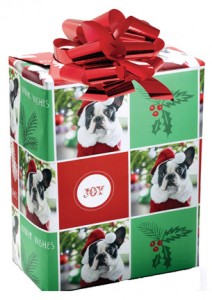 CP1115-Personalized-Pooch-W