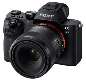 Sony-FE-50mm-f2.8-Macro-onA7II