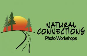 Natural-Connections-Photo-Workshops-Logo