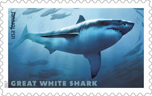 Great-White-Shark-Forever-Stamp