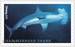 Hammerhead-Shark-Forever-Stamp