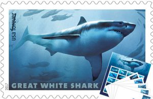 Shark-Forever-Stamps-Banner