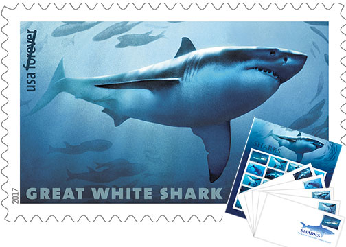 Shark-Forever-Stamps-Banner