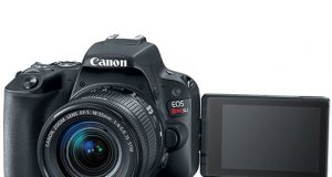 Canon-EOS-SL2-LCD-banner