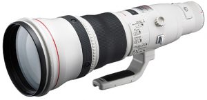 Canon-EF-800mm-f5.6L-IS-USM