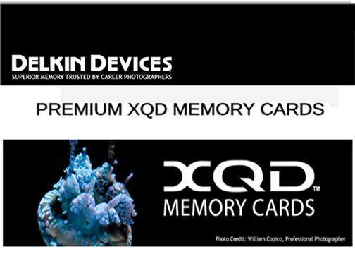 Delkin-Premium-2333x-QXD-Banner