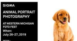Sigma-Animal-Portraits-Michigan-banner