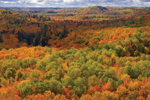 Fall Photography Nikon-FallFoliage-by-Rod-Planck-3