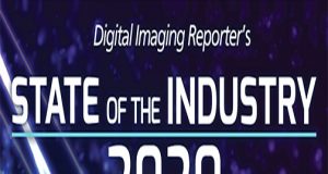 DIR-2020-State-of-the-Industry