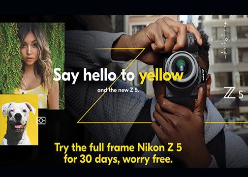 Nikon-Z-5-Yellow