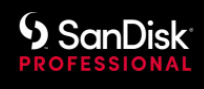 SanDisk-Professional-Logo