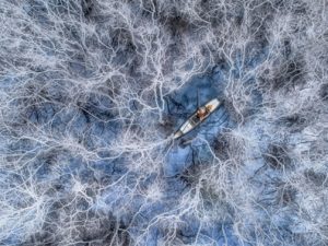 Fishing-in-Drone-photo-award-2021-Video-Mangrove-Forest-by-Trung-Pham-Huy