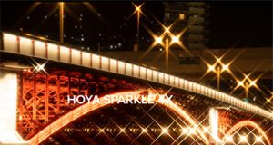 Hoya-Sparkle-4x-banner