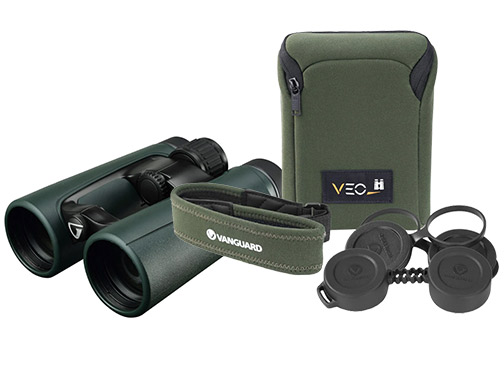 Vanguard-VEO-HD-IV-banner-w-case