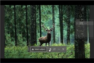 Adobe-Photoshop-Generative-Fill-Firefley-deer-orig