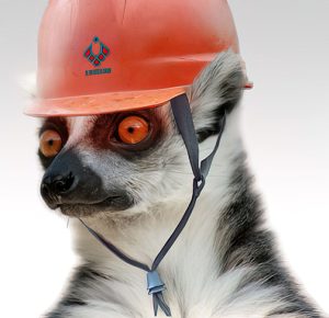 Roberts-21-construction-lemur