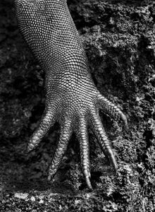 Outstanding-Contribution-to-Photography-2024_SebastioSalgado_OutstandingContributiontoPhotography_2024