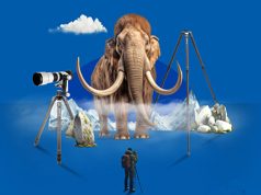 Benro-Mammoth-Family-Tripod-banner