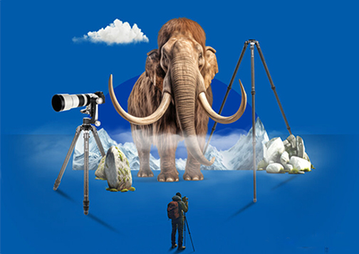 Benro-Mammoth-Family-Tripod-banner