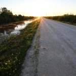 Car Sunrise